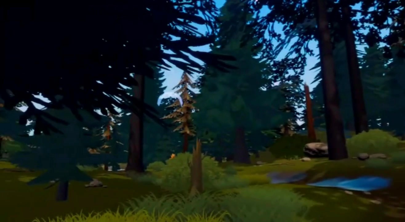 Prehistoric forest environment